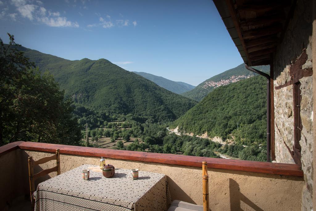 Appartement Radika View House à Galicnik Extérieur photo